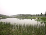 2008奧運(yùn)精品工程之奧林匹克森林公園南區(qū)2號(hào)地四標(biāo)段