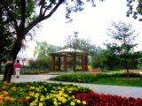 2008北京社會(huì)精品工程之松林里綠地綠化工程