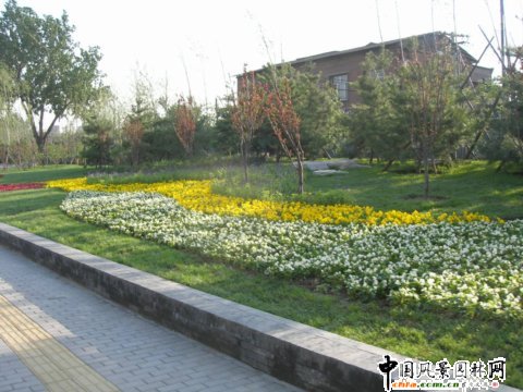2008北京社會(huì)精品工程之珠市口鋪陳市綠地