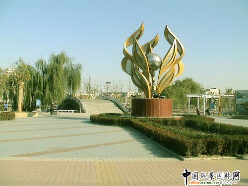 許昌市園林綠化局局長王曼麗發(fā)言(圖)