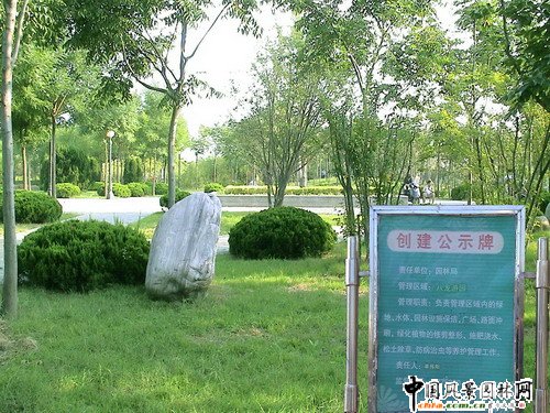 許昌市園林綠化局局長王曼麗發(fā)言(圖)