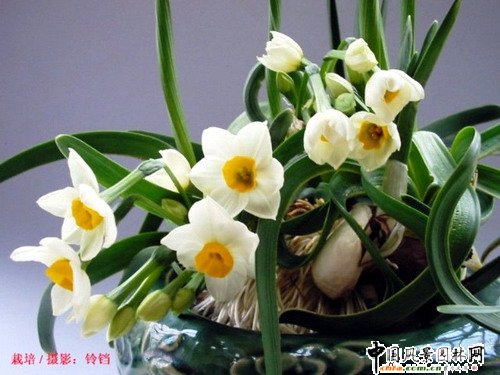(ji)껨D(zhun)\(MD)