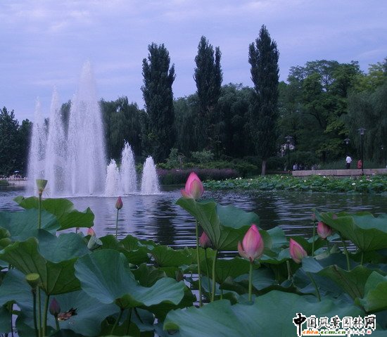 2008|֮˶@칤(MD)