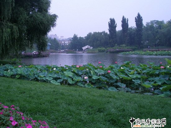 2008(yu)|(zh)֮˶@칤(MD)