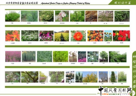 種植設(shè)計(jì)分區(qū)圖