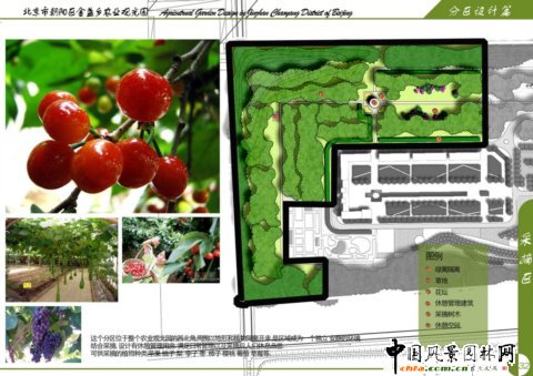 北林畢業(yè)作品之北京市朝陽區(qū)金盞鄉(xiāng)農(nóng)業(yè)觀光園設(shè)計