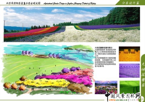大地花圃區