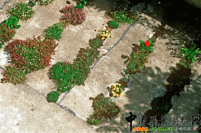 2009ASLA居住區設計類榮譽獎：裂縫花園