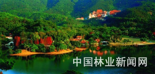 ֘I(y)WO(sh)Ӌڈ@־^o