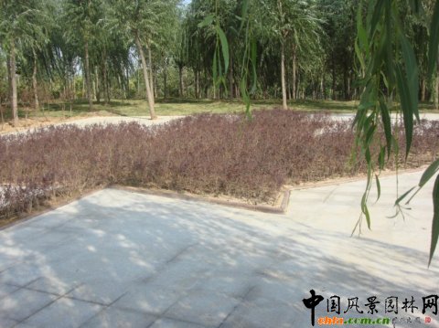 加拿大里賈納園