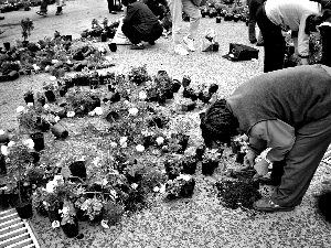 һЩڰỨգwĻ@Tǰǧ辰^С哌