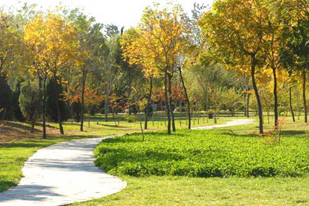 北京公園