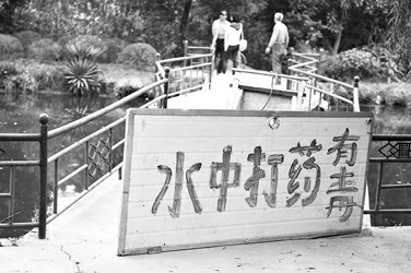 橋頭的提示牌觸目驚心。