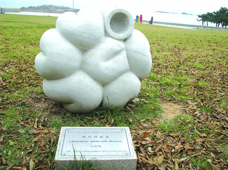 青島雕塑園四易主無人維修