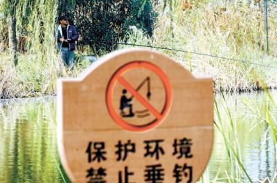 上海：江灣生態(tài)濕地正遭受生態(tài)破壞
