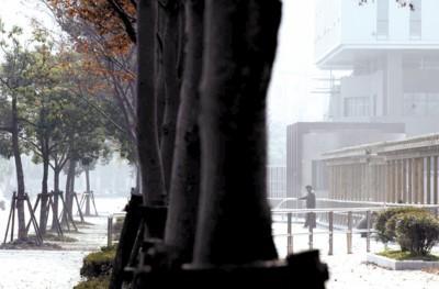 上海：江灣生態(tài)濕地正遭受生態(tài)破壞