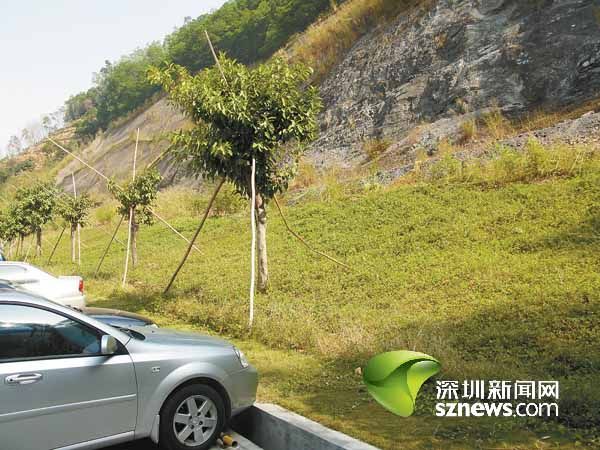 小區空地咋成了“余泥渣土場”(組圖)
