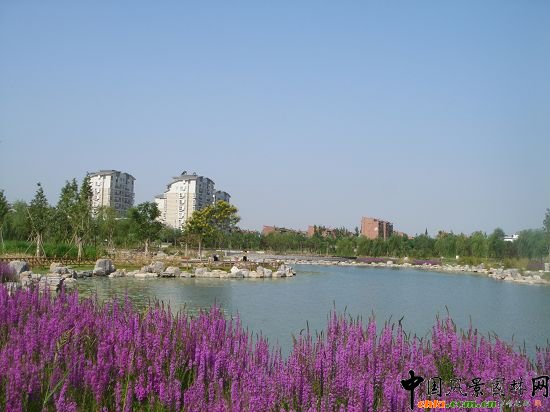 湖區景觀