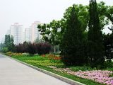 2009年北京市精品園林工程之安立路、北辰西路
