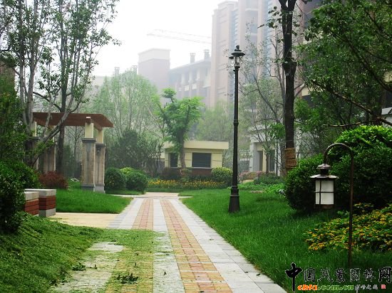 郁郁蔥蔥的宅間小路