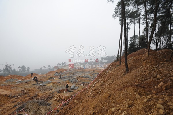 12月30日，南山一正在準備修建特殊學校的工地，施工方野蠻施工，堆積的棄土將周圍的樹木“活埋”。.jpg