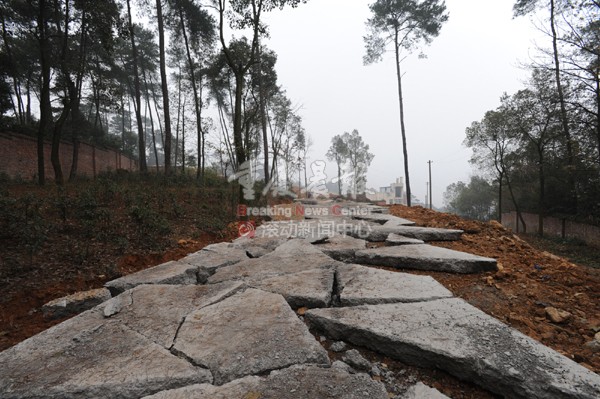 12月30日，南山一正在準備修建特殊學校的工地，施工方野蠻施工，未經許可將苗圃路硬化。南山植物園方面幾經交涉之后未果只得將硬化后的路面砸碎。.jpg