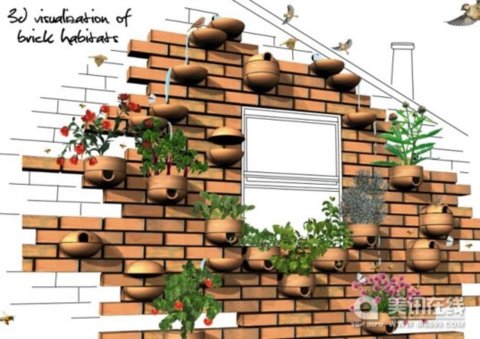 磚塊棲息地：生境恢復的迷你花園
