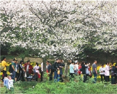 省植物園門票為什么一漲再漲