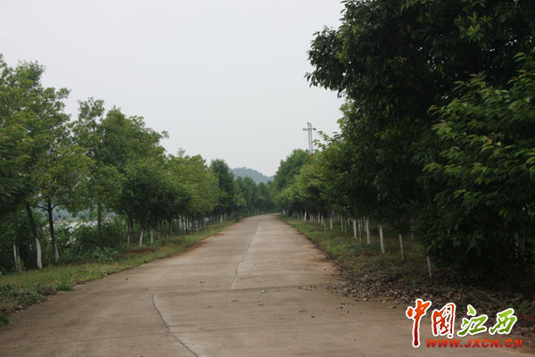 林遠(yuǎn)泉：鄱陽湖畔書寫28年綠色傳奇