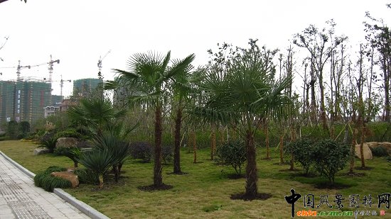 ���ݿ���·���^�G������һ��(bi��o)��