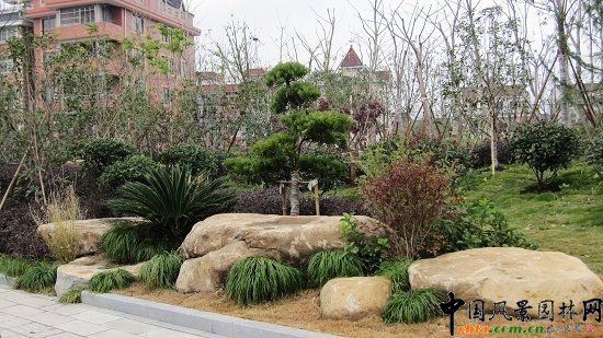 ���ݿ���·���^�G������һ��(bi��o)��