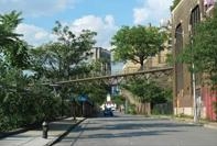 美國Squibb公園步行橋設計(圖)