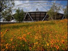 倫敦奧運(yùn)公園花草面積將達(dá)10足球場(chǎng)