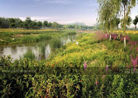 點此在新窗口瀏覽圖片