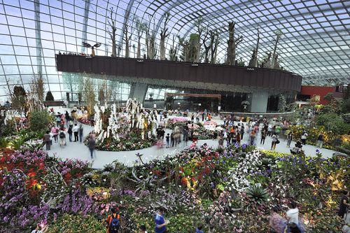 風(fēng)景園林 新加坡 超級樹