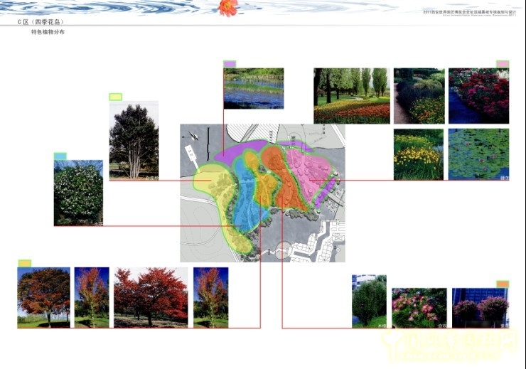盛葉夏樹 世園會(huì) 景觀規(guī)劃 植物配置