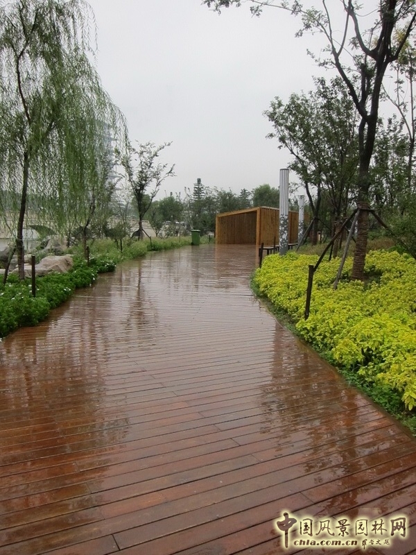 盛葉夏樹 世園會(huì) 景觀規(guī)劃 實(shí)景圖