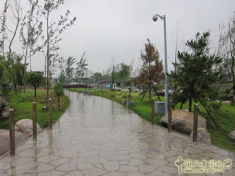 盛葉夏樹 世園會 景觀規劃 