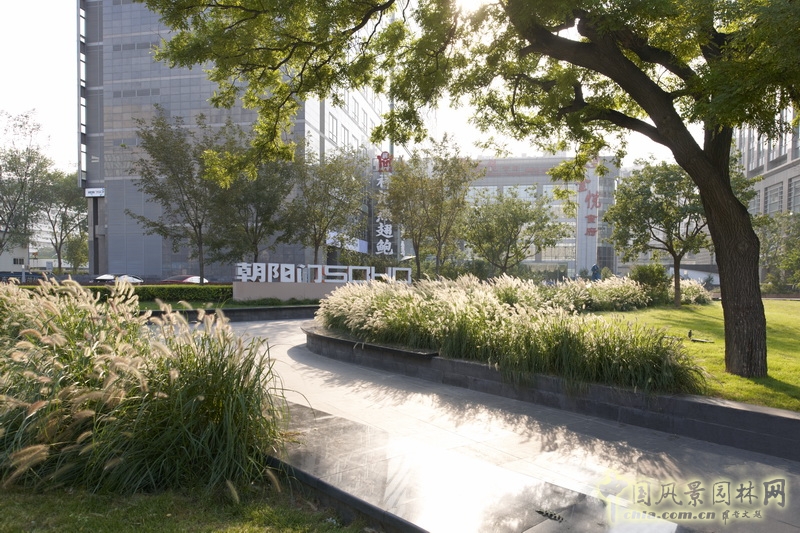 朝陽門SOHO 盛葉夏樹 景觀設(shè)計 實景照片