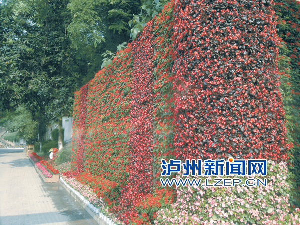 瀘州 忠山公園 新增 景觀墻 中國風(fēng)景園林網(wǎng)
