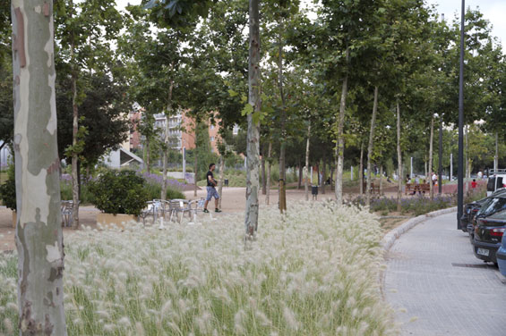 西班牙雷烏斯甘地公園實(shí)景展示 公園綠地 世界園林 中國(guó)風(fēng)景園林網(wǎng)