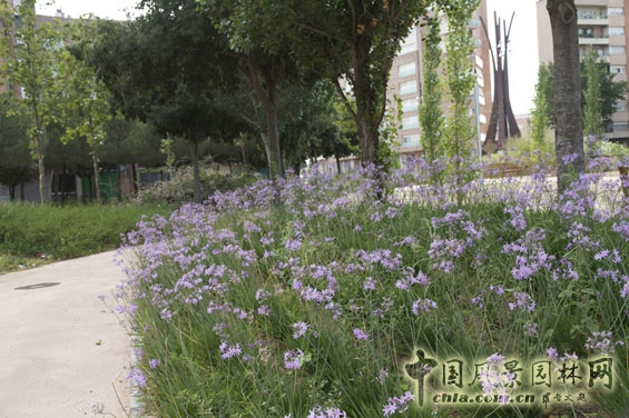 西班牙雷烏斯甘地公園實景展示 公園綠地 世界園林 中國風景園林網