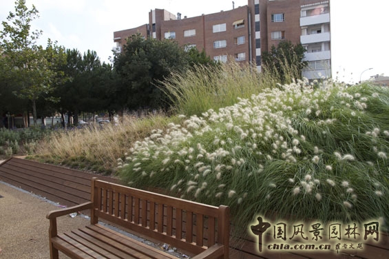 西班牙雷烏斯甘地公園實景展示 公園綠地 世界園林 中國風景園林網