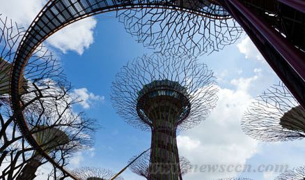 新加坡 海灣花園 景觀設(shè)計(jì) 建筑設(shè)計(jì) 中國風(fēng)景園林網(wǎng)