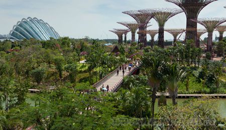 新加坡 海灣花園 景觀設(shè)計(jì) 建筑設(shè)計(jì) 中國風(fēng)景園林網(wǎng)