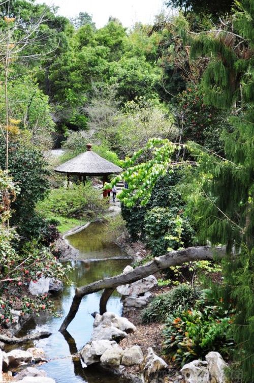 美國 亨廷頓圖書 流芳園 蘇式園林 中國風景園林網