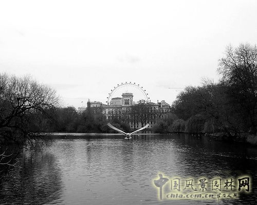 圣詹姆斯公園 中國(guó)風(fēng)景園林網(wǎng)
