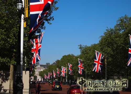 倫敦林蔭路 中國風景園林網