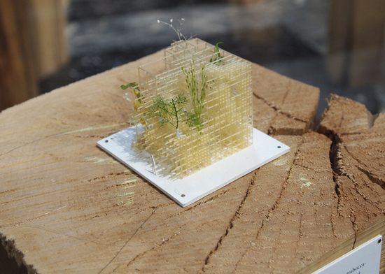 威尼斯雙年展 中國風景園林網