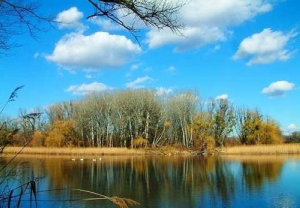 中國風景園林網